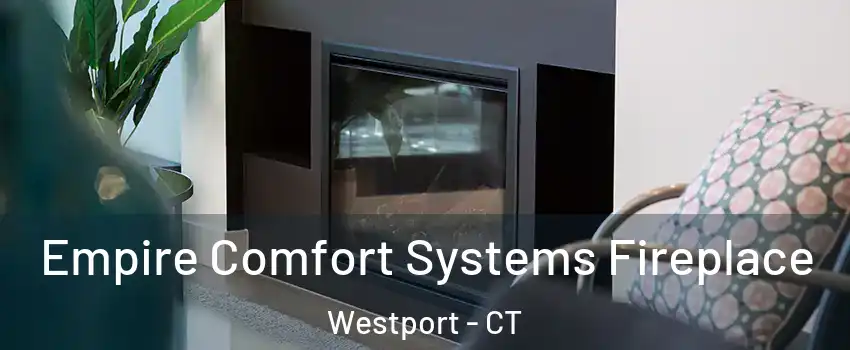  Empire Comfort Systems Fireplace Westport - CT